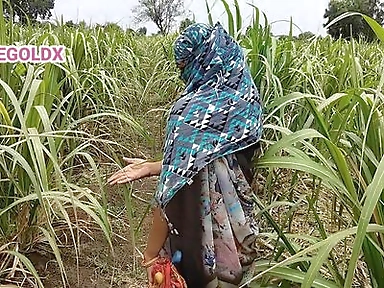 Komal Fuck by Malik While Working in the Field